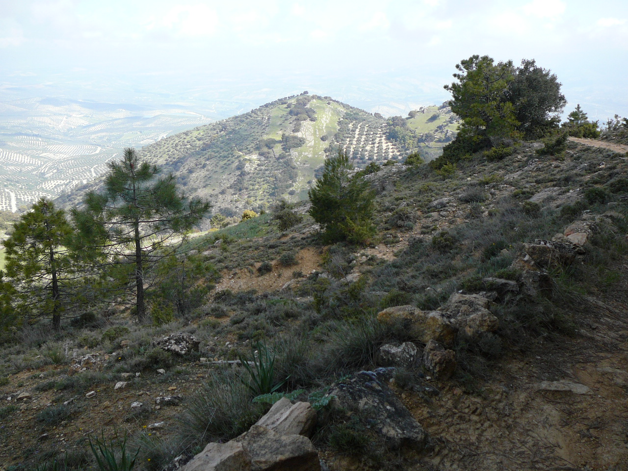 Quesada - Cazorla (province de jaén) Au lieu-dit Coto 